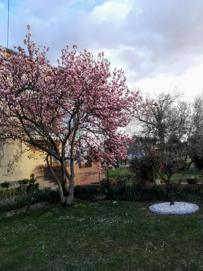 Da Vanilla Affittacamere Bonzicco Bagian luar foto